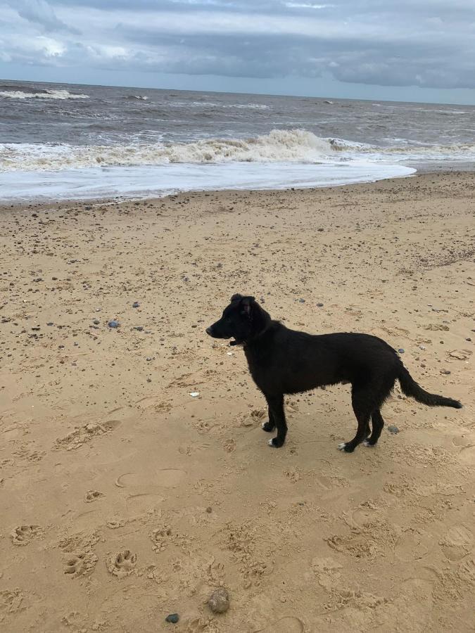 Norfolk Caravan Staycation Pet Friendly Belton with Browston Exterior photo
